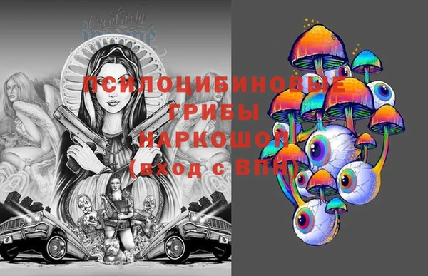амф Шадринск