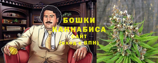 амф Шадринск