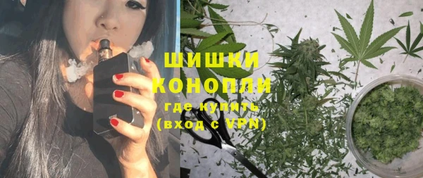 амф Шадринск