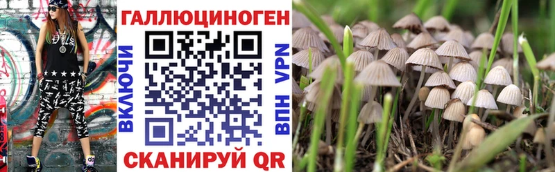 Псилоцибиновые грибы Psilocybe  Купить  Петушки 