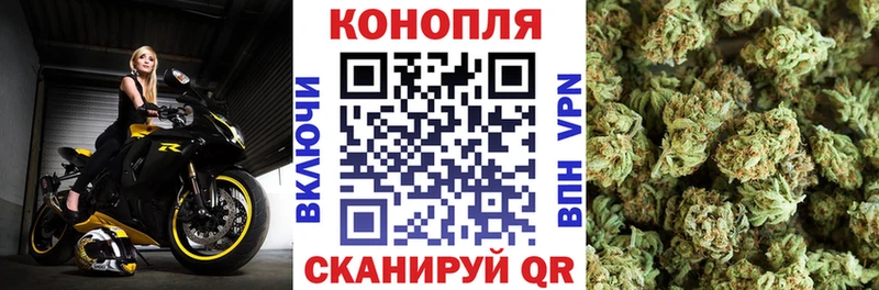Каннабис White Widow  Купить закладки  Петушки 